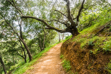 Hiking path on the hills of the newly opened Rancho San Vicente Open Space Preserve, part of Calero County Park, Santa Clara county, south San Francisco bay area, California