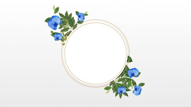 photo frame for copy space with decorative blue flowers