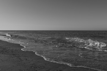 Florida Coast