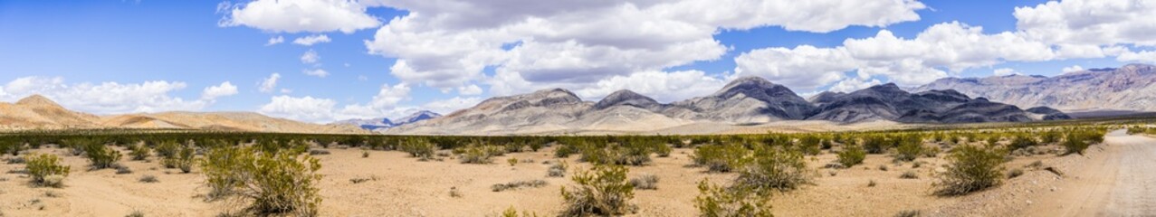 Panoramic view of a remote area of Death Valley National Park; Creosote bushes covering the sandy terrain; California