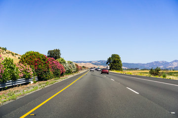 Driving on the interstate towards Redding, Northern California; beautiful blooming azalea shrubs on...