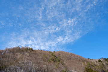 冬の山と枯れ木