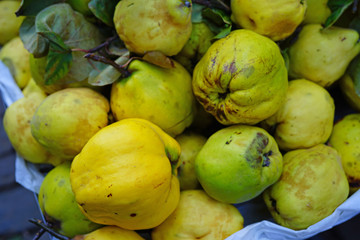 Fresh quince fruit at a farmers market in the fall