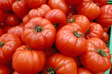 many red large tomatoes on the counter in the market