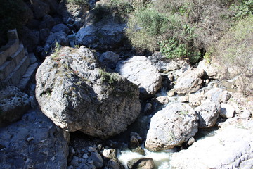 roca