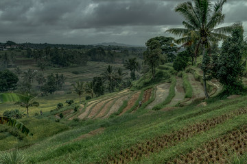 Magical Beauty and Serenity Abound in Bali