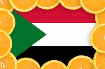 Sudan flag  in fresh citrus fruit slices frame