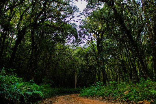 caminho para a liberdade.