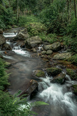 Magical Beauty and Serenity Abound in Bali