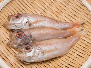 ノドグロの干物