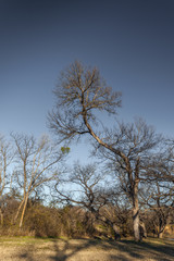 beautiful autumn landscape 
