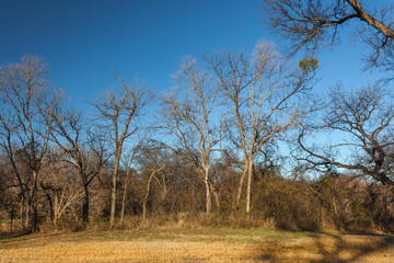 beautiful autumn landscape 