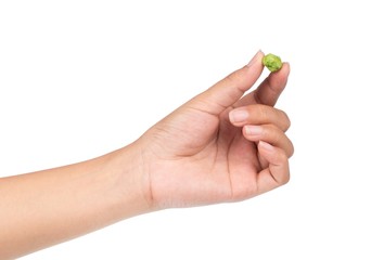 fingers holding Green bean snack seed isolated on white background