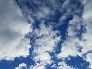 blue sky with white clouds