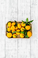 Winter fruits for New Year and Christmas. Tangerines on white wooden background top view mock-up