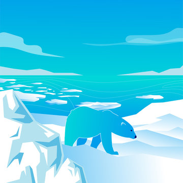 vector image of a polar bear walking on white snow, glacier, against the sea with ice