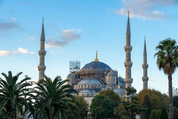 Fototapeta na wymiar Istanbul blue mosquewith blue nice sky in Istanbul, Turkey
