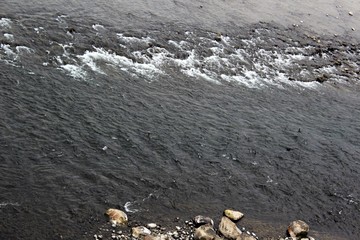 Rushing water creates white bubbles in a river 