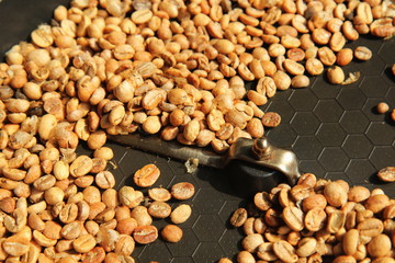 Closeup Roasted Homemade Coffee