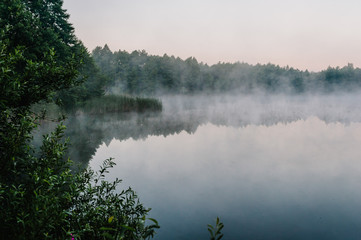 Fog, grass, trees against the backdrop of lakes and nature. Fishing background. Carp fishing. Misty morning. nature. Wild areas. the river.