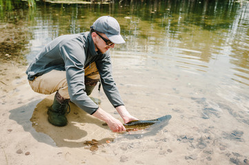 The fisherman releases a large fish under the water, a big pike in the pond. Sports fishing. Man hold a pike in lake on a background nature. Fishing background. Good catch. Trophy fish. angler.
