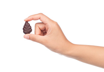 hand holding Chocolate Fancy cute isolated on white background.