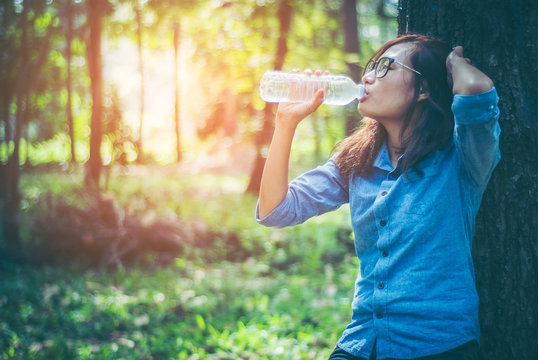 Asian Girls Hikers Are Living Under The Shadow Of Large Trees. In Hot Weather And Strong Sunlight She Had To Drink Water From Plastic Bottles To Relieve Their Thirst During The Trip In The Forest.