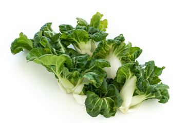 Fototapeta premium Space food bok choy or mini bok choy, Chinese Asian vegetables