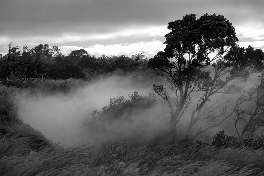 Black and white photos of steam rising from volcanic steam vents on the Big Island