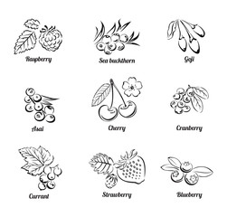 Obraz premium Set of vector berries isolated on white background. Сollection of simple black and white illustrations. Cherry, blueberry, raspberry, strawberry, cranberry, sea buckthorn, currant, acai, goji.