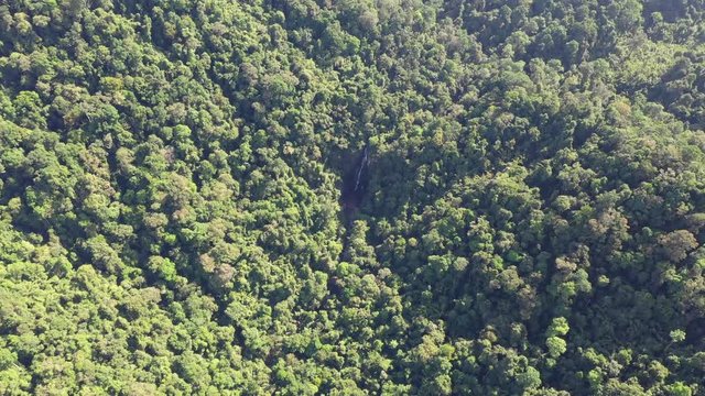 Tropical rainforest, Sumatra, Indonesia. Aerial 4K droen footage 