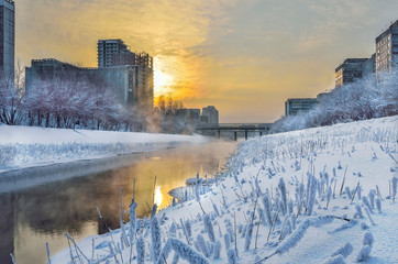Winter golden sunset and mist rises above the water
of little river. Frosty weather, trees and grass on the banks are covered with fluffy hoarfrost - urban winter landscape with buildings and bridge