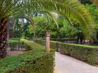 Obraz premium ein Park in Sevilla