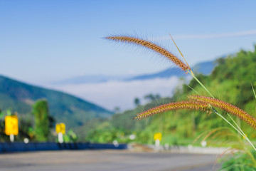 Mountain lanscape of Thailand.