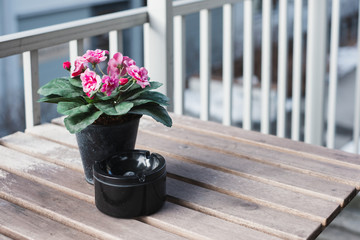 Pink flower with ceramic ashtray on wooden table at terrace