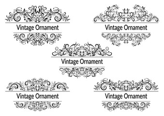 Set Abstract Floral Vintage Patterns, Black and Grey Contours Isolated on White Background. Vector