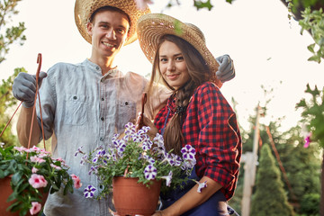 Guy and girl gardeners in a straw hats hold pots with wonderful petunia on the garden path in  on a...