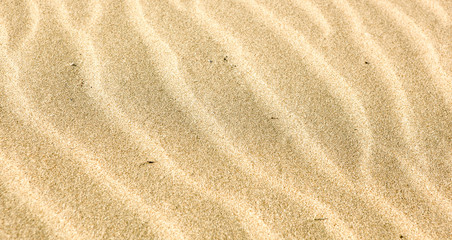 Plakat Sand background texture
