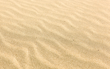 Fototapeta na wymiar Sand background texture