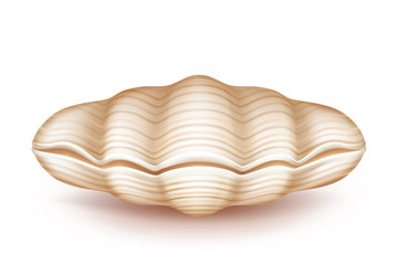 Sea mollusk closed, beige shell 3d realistic vector icon isolated on white background. Original soapbox, decorative case for jewelery of pearls, wedding ring box from natural materials illustration
