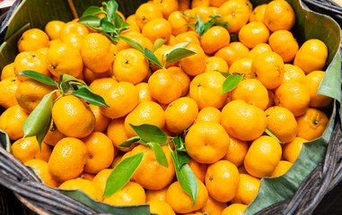 Fresh tangerine oranges in rattan basket available at a fruit stall in downtown Chiangmai market, northern Thailand, Asia.