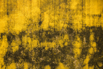 old dirty yellow concrete wall with cracks and black spots of paint and mold. rough surface texture