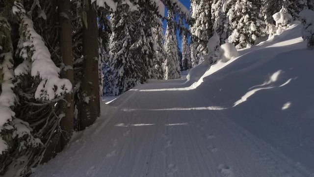 Flug durch Winterlandschaft in den Alpen - Gaistal