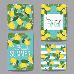 Citrus fruits greeting cards and patterns on turquoise blue set. Vector illustration - 242612222
