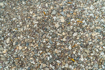 Pebble flooring plays significant role in any construction and decoration in the home area including the falling leaves in the season.