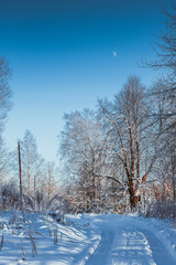 Road in winter village