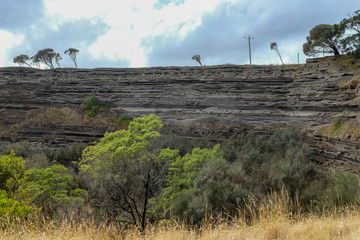 Kakadu Habitat, Tower Hill Reserve, Australien, 2019