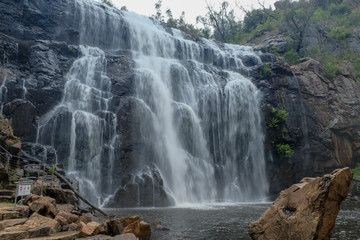 Fototapeta premium Mackenzie Falls, Australien, 2019