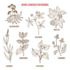 Best herbal remedies for insomnia - obrazy, fototapety, plakaty