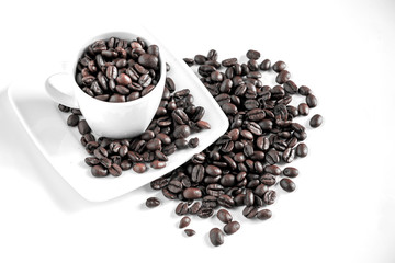 coffee bean is a seed of the coffee plant and the source for coffee to make a coffee for drink. 